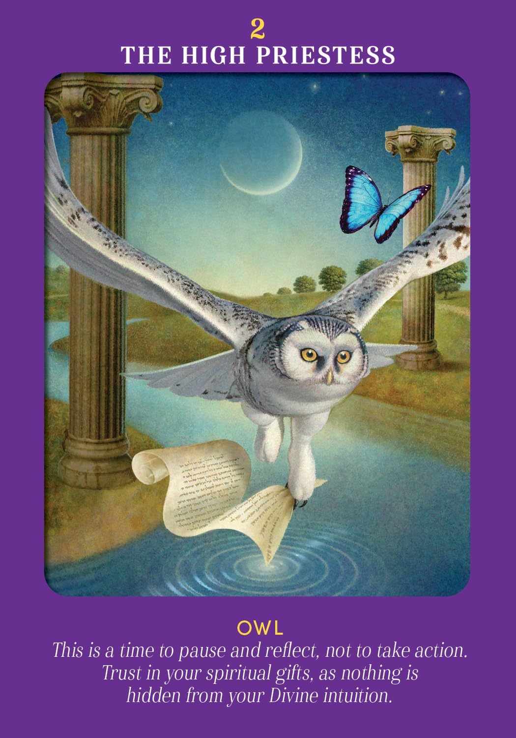 Animal Guides Tarot Cards